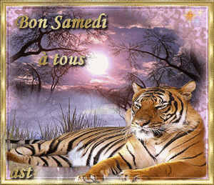 Gif animé Bon samedi tigre
